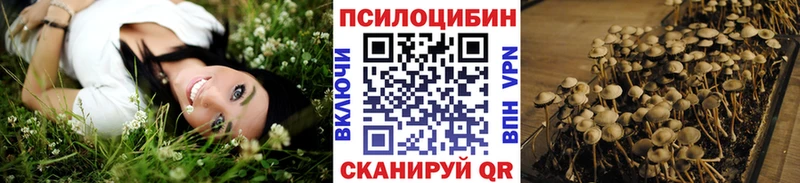 купить   Нижняя Салда  Галлюциногенные грибы Psilocybe 
